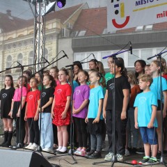 ZUŠ na Milevsko sobě
